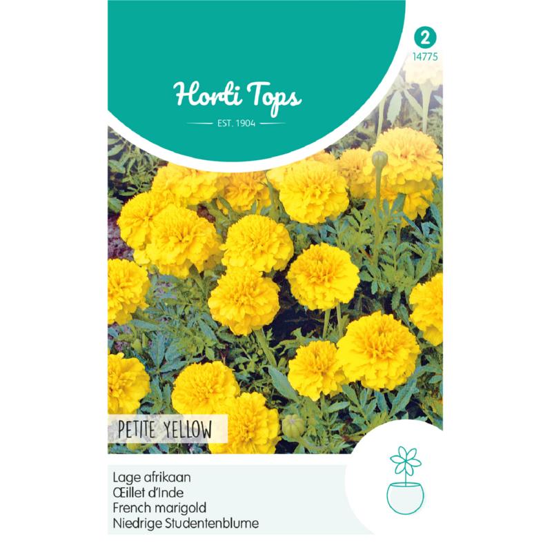 HT Tagetes, lage Afrikaan Petite Yellow
