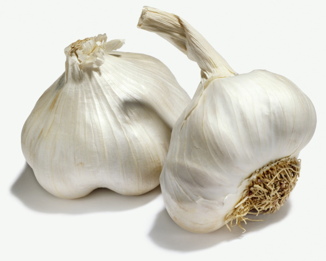 Knoflook