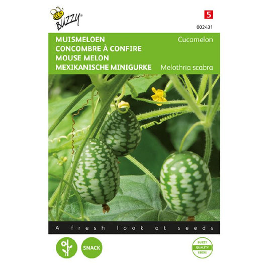 Buzzy® Muismeloen, Cucamelon