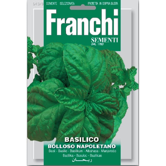 Fr Basilicum, Basilico Bolloso Napoletano