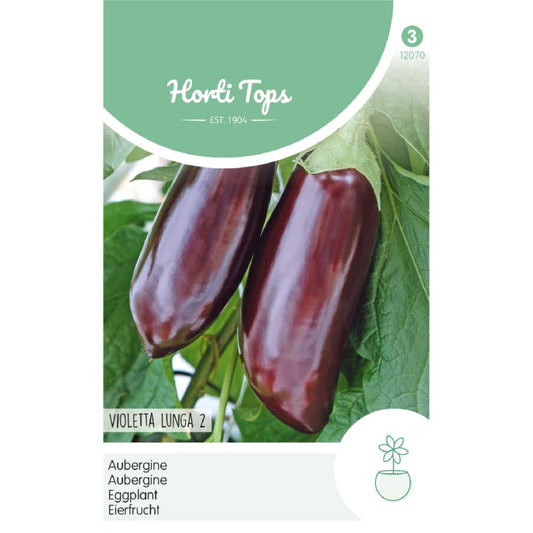HT Aubergine Violetta lunga 2