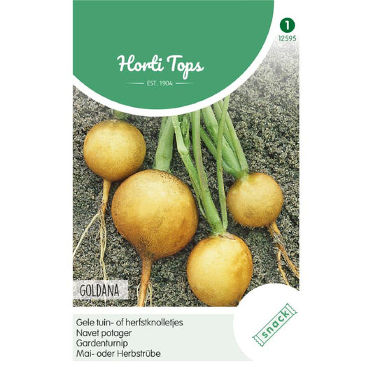 HT Gele tuin- of herfstknolletjes Goldana