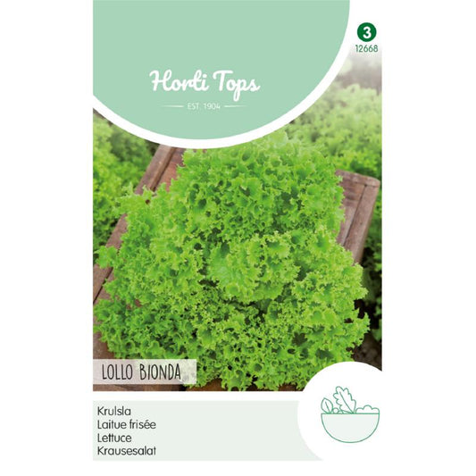HT Krulsla Lollo Bionda