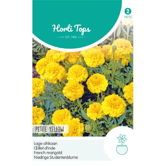 HT Tagetes, lage Afrikaan Petite Yellow