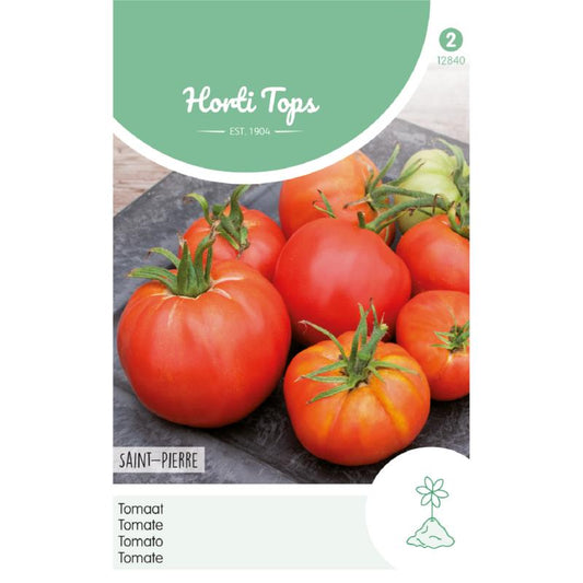 HT Tomaten St. Pierre grote vollegrondse