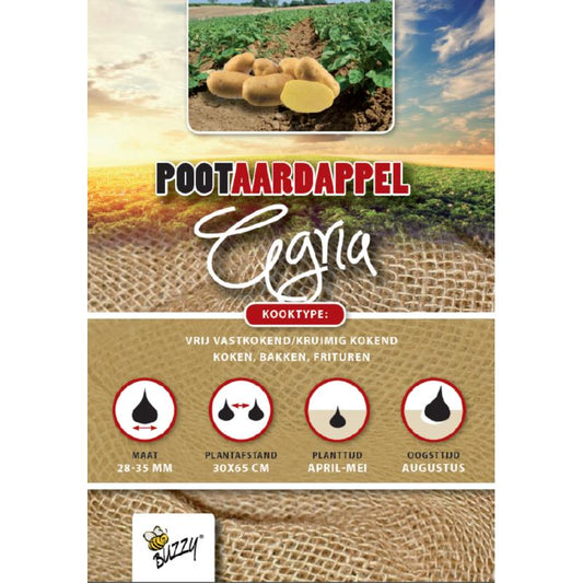 Pootaardappel Agria 1 Kg