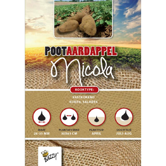 Pootaardappel Nicola 1 Kg
