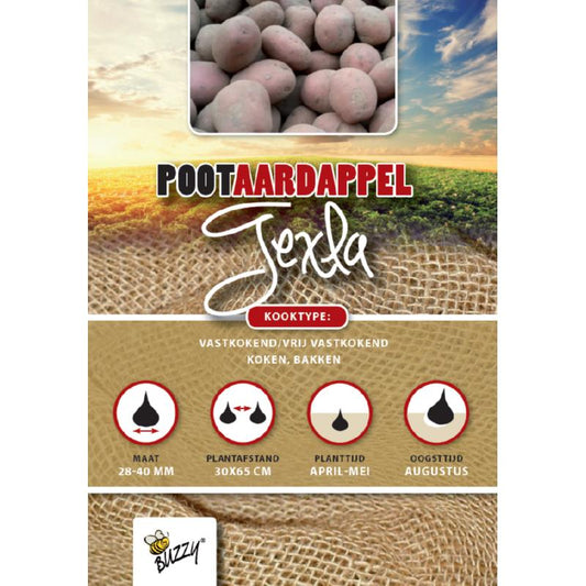 Pootaardappel Texla 1 Kg