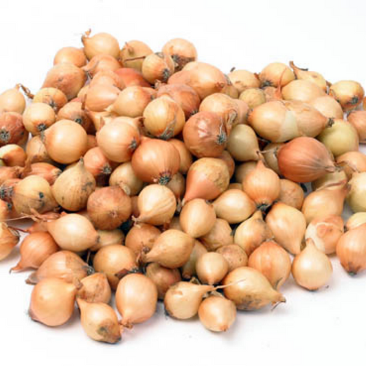 Plantuien Stuttgarter Riesen 500g maat 14/21