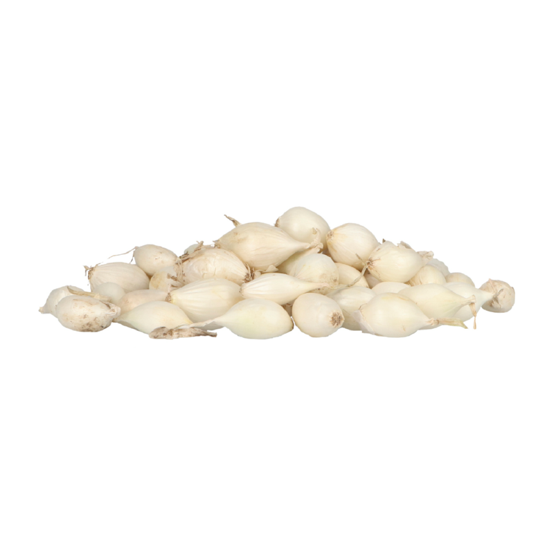 Plantuien Snowball 250g maat 14/21